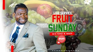 FRUIT SUNDAY SERVICE WITH PROPHET W.MAGAYA - LIVE BROADCAST || 01.12.24