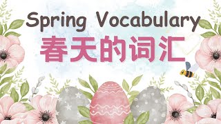 【关于春天的词汇Spring Vocabulary】春雨🌸赏花🌸野餐🌸踏青，春天来了，你准备好了吗？Let's learn some Chinese vocabulary about spring