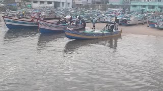 மீனவர்கள் கரைக்கு திரும்பும் கனொலி| Colachel Harbour