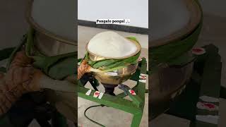 PREMIUM BRONZE PONGAL PANAI | HAPPY PONGAL WISHES FROM ROSHCOOKWARES #sharmika #nalini SUJATHA BABU