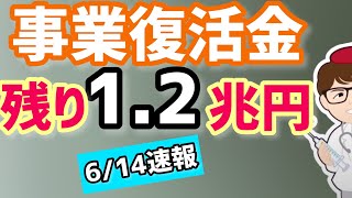 速報6月14日午前経済産業省公表！事業復活支援金の最新申請件数・給付件数・給付金額総額！予算2.8兆円のうち半分以上の消化進む期限間近の給付金情報【中小企業診断士マキノヤ先生】第1097回