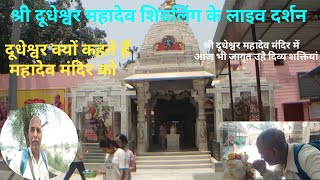 श्री दूधेश्वर महादेव मंदिर में आज भी जागृत है दिव्य शक्तियां | Shri Dudheshwar Mahadev Mandir