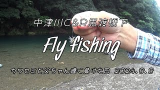 中津川C&R馬渡橋下 カワセミと父ちゃん達に負けた日2027.8.8＃フライフィッシング＃バンブーロッド＃カワセミ