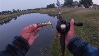 CLASSIC POPPER Still SLAYS Largemouth!!! Fishing With the Arbogast Hula Popper