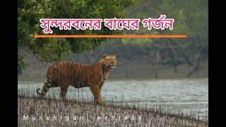 সুন্দরবনের বাঘের গর্জন। Roar Of Royal Bengal Tiger at Sundarbon||munshiganj Express ||