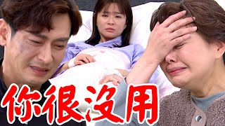 一家團圓│EP17 雅卉重傷雙腿無知覺至誠痛哭下跪 少風緊逼阿嬤處理至誠反遭修理  Family Reunion│ Vidol.tv