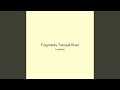 Fragments Tranquil River