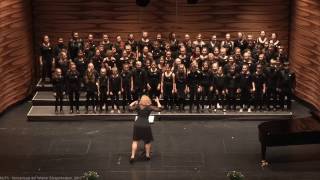 Voices of Polgar am 03.04.2017 beim Wiener Jugendsingen