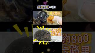 中秋節🌙溫馨小提醒⚠️🥮 #meme #梗圖 #迷因 #中秋節 #月餅 #moonfestival  #mooncake #笑話 #搞笑 #shorts