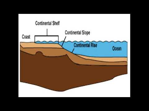 What is continental shelf in geography?
