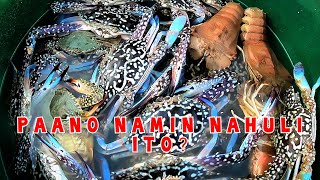 VLOG 058 - One method of catching blue crabs/Isang paraan ng paghuli ng alimasag dito Capiz.