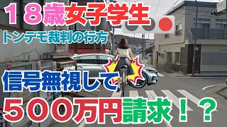 自転車女子学生の嘘を暴け！　信号無視はしていない！賠償額５００万円は認められるか？