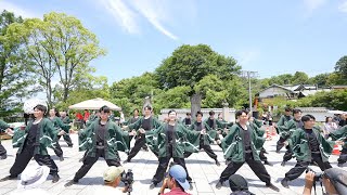 信州大学YOSAKOI祭りサークル和っしょい『南中ソーラン』 📍犬山踊芸祭 (城前広場会場) 2024-06-01T11:10