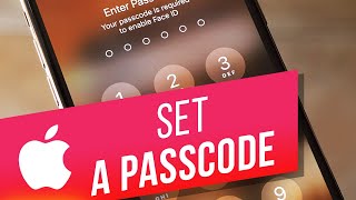 How to Set a Password on iPhone & iPad | How to Protect Your iPhone & iPad