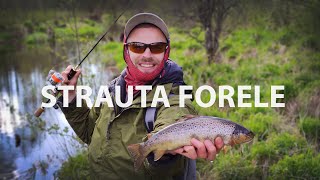 STRAUTA FORELE /DABAS BĒRNS