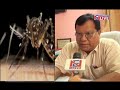 dengue threat