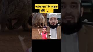 এটা কি প্রাণী 😲🤲 #islamicvideo #duet #mizanurrahman #islamicinspiration #allah #miracleofallah