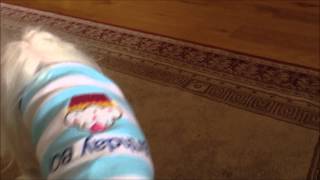 Milo playing fetch