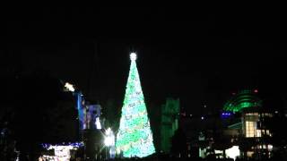 2013　ＵＳＪ　クリスマスツリー点灯の瞬間