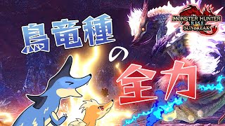 【鳥竜種たちの古龍戦線】ドスバギィ、神を穿つ【モンハンサンブレイクゆっくり実況】