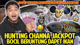 HUNTING CHANNA JACKPOT! BOCIL BERUNTUNG DAPET IKAN! MAIN KE DAPURIUM BUAT BUNGKUS CHANNA TERBAIK!