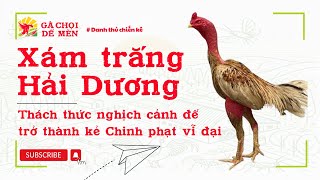 Xám trắng Hải Dương - thách thức nghịch cảnh trở thành kẻ chinh phục vĩ đại #gachoivietnam