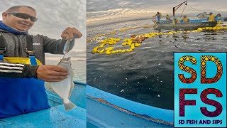 HARD TIMES in MEXICO | Fishing Halibut, Mackerel, & Sardine in Bahia Asuncion Baja California Sur