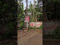 Land for sale 7.75 cents near Kunnamkulam 9388890009