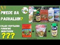 Pwede bang paghaluin ang Foliar Fertilizer, Insecticide at Fungicide?(Compatibility)