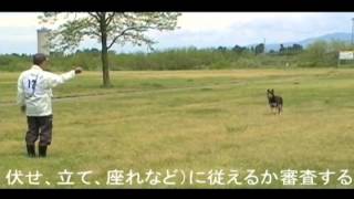 警察犬審査会１【富山県警察活動紹介】