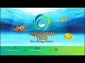 reef aquarium update saltwater aquarium