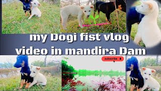 My Dogi/Fist vlog video in Mandira Dam/my villages LOC DUMERJORE