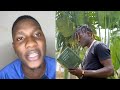 King Saha Kunsonga Za Tamale Mirundi Junior Ne Jose Chameleone !!