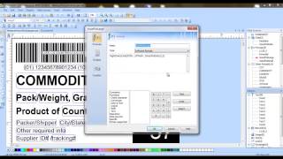 Teklynx Creating-a-Voice-Pick-code with codesoft software