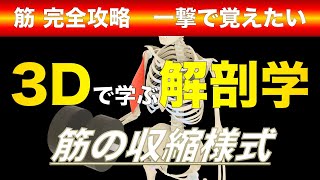 〇〇性収縮ってどんな運動？　筋の収縮様式の違い　#筋トレ　#ボディメイク　#pt国試