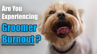 3 Reasons Pet Groomers Struggle