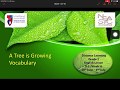 Grade 3 - English - A Tree is Growing - Vocabulary - Recorded Lesson - Jun 28