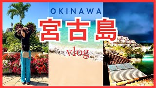 [宮古島] vlog  色んな生き物に遭遇した2泊3日の旅！〜絶景巡りとホテルルームツアー〜