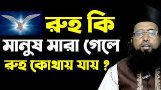 রুহ কি ? মানুষ মারা গেলে রুহ কোথায় যাই। পীর গাজী হাবিবুর রহমান রেজভী সূফিবাদী ||