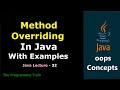 Method Overriding in Java | Runtime Polymorphism | Java Lecture - 32 |#interview #java