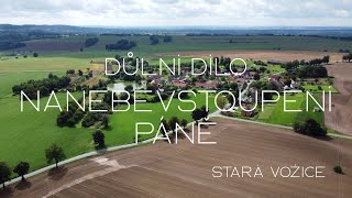 Stříbrné doly v okolí Staré Vožice - Důlní dílo Nanebevstoupení Páně