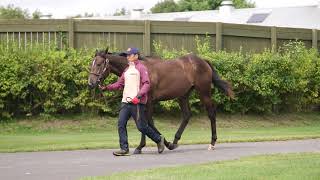 【2023年度[1歳馬]】 2 ラクレソニエールの2022