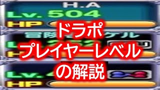 ドラポ　プレイヤーレベルの解説【結月ゆかり音声、ドラゴンポーカー】