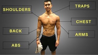 My FULL Training Routine (Workouts, Diet, & Cardio!)