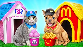 We Built a House For Pets | Funny Moments by Multi DO Smile