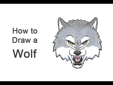 How To Draw A Wolf Head (Cartoon) - YouTube