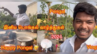 PONGAL FESTIVAL 🤩 IN OUR NANDHAVANAM / தைப்பொங்கல் வாழ்த்துக்கள் #2024  #pongal #chennai #tamil