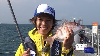 マダイをカゴ釣りで狙う！魚種多彩な海釣り公園で楽しもう/四季の釣り/2013年11月22日OA