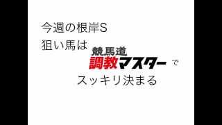 競馬道調教マスターで根岸Ｓの狙い馬を探す