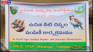 ప్రపంచ పిచ్చుకల దినోత్సవం - ఉచిత నీటి చిప్పల పంపిణి కార్యక్రమం - హన్మకొండ - #BVRTVNEWS